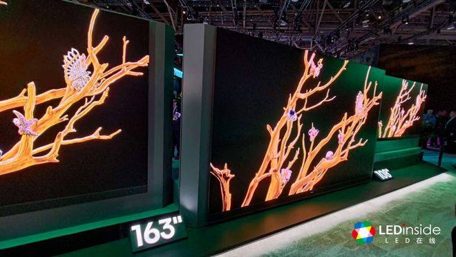 IN to the Future 红杉爱科学EVO视讯CES 2025回顾：DIVE(图7)