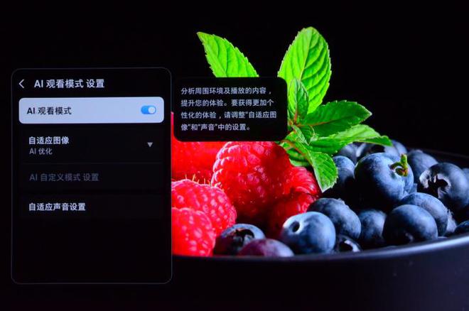 F评测：让家中大屏成为我们的智慧伙伴EVO视讯平台三星OLED电视S95(图7)